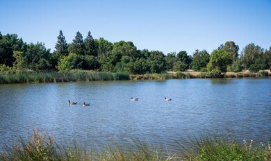 10338 Ducasse Way, Elk Grove, CA 95758 - photo 4