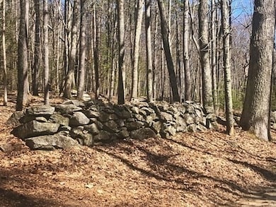 0 Carter Pond Rd, Petersham, MA 01366 - photo 5