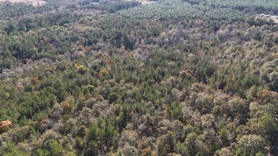 County Rd 1143, Troy, AL 36079 - photo 6