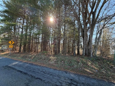 4306 Keno Rd, Laurel Fork, VA 24352 - photo 2