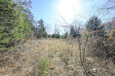 000 Swinging Bridges Rd, Brumley, MO 65017 - photo 5