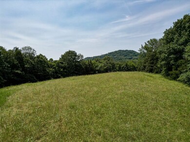 0 Choctaw Road Tract 1 unit 23482416, Franklin, TN 37046 - photo 7