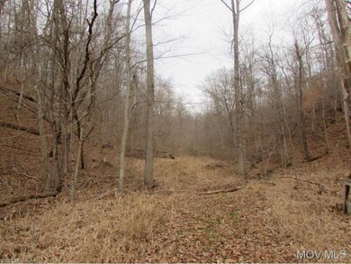 Wooded Area