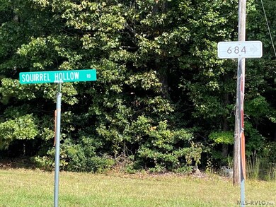 18.62 Ac Squirrell Hollow Rd, Alberta, VA 23821 - photo 4