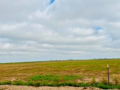 0 Mongoose Rd, Levelland, TX 79336 - photo 2