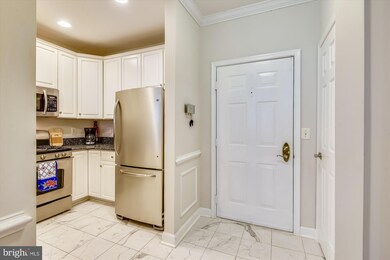 1321 N Adams Ct unit 308, Arlington, VA 22201 - photo 3