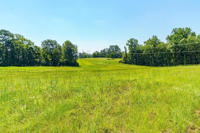 581 Moselle Seminary Road-10
