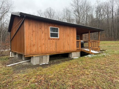 4412 Conley Rd, Hinsdale, NY 14743 - photo 3