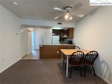 Kingswood Condominiums unit 50, Boone, NC 28607 - photo 5