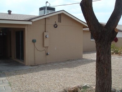 Back Yard 2