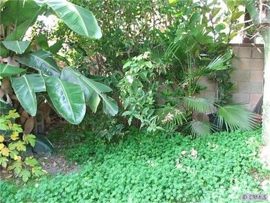 COZY BACK YARD