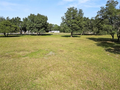 1828 Gator Creek Ranch Rd, Lakeland, FL 33809 - photo 5