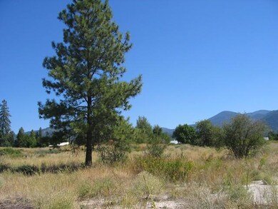 1200 W Lincoln Ave, Chewelah, WA 99109 - photo 4