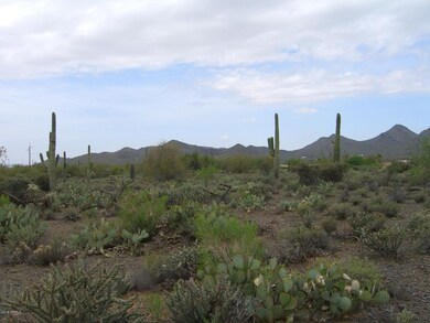 PHOTO #5