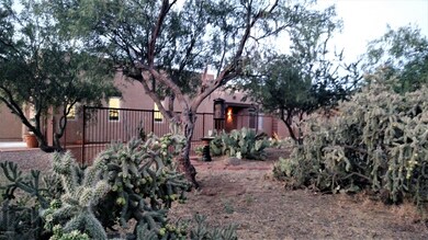 Lance - Front yard  2