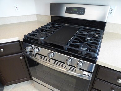 Brand new gas range