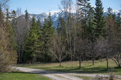 View from House