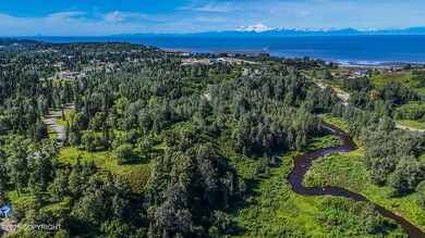 15466 Tovarish Rd, Ninilchik, AK 99639 - photo 6