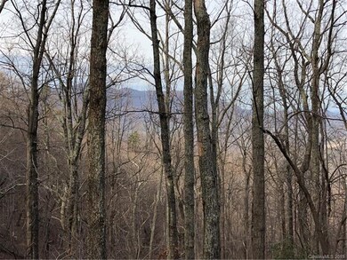 View from the upper part of the lot along Hogback 