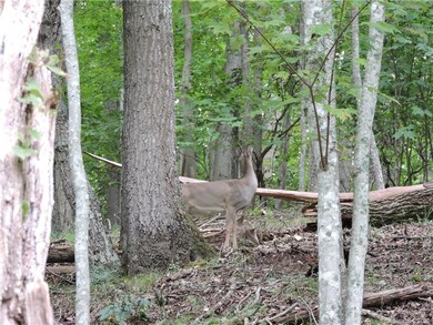 1377 Leisure Ln unit 23, Jacks Creek, NC 28714 - photo 4