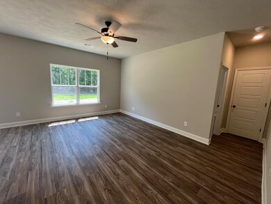 4179 Fringetree Loop, Aiken, SC 29803 - photo 2