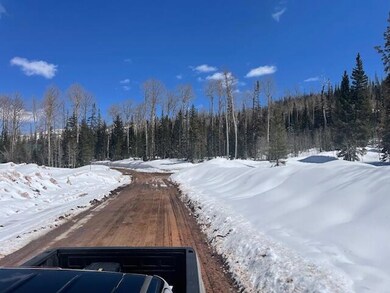 264 N 275 E unit 163, Brian Head, UT 84719 - photo 4