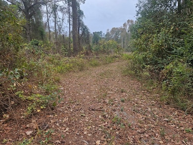 4126 Grooverville Rd, Quitman, GA 31643 - photo 3