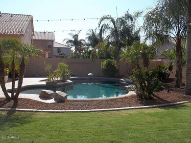 backyard pool 2