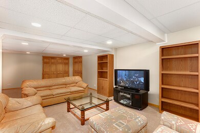 4107 Joe Willie Dr, Naperville, IL 60564 - photo 6