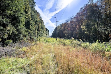 HFL_PLOW GROUND RD_30 ACRES-8