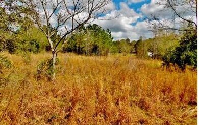 TBD 43rd Dr, Branford, FL 32008 - photo 2