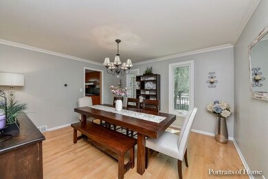 1135 Chateaugay Ave, Naperville, IL 60540 - photo 2