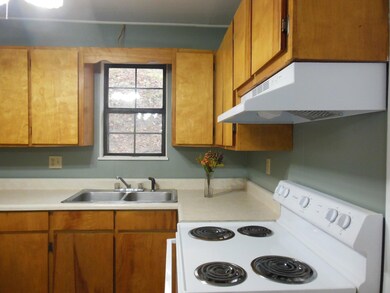 129 Larue St, Reeds Spring, MO 65737 - photo 6