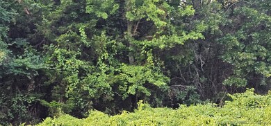 0 E Moonshine 1000 Rd unit 2526568, Gore, OK 74435 - photo 6