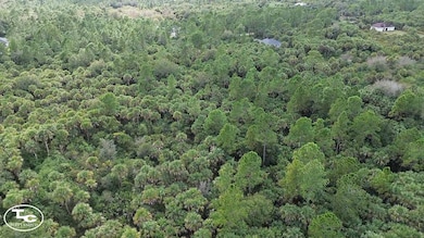 0 30th Ave SE unit 11613710, Naples, FL 34117 - photo 7