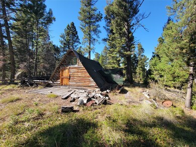 323 Trails End Ln, Helmville, MT 59843 - photo 2
