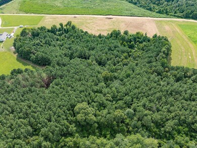 Parcel A J Runnels Rd, Petal, MS 39465 - photo 5