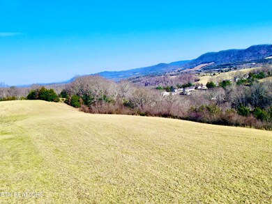 dji_fly_20250203_152110_246_173861407683