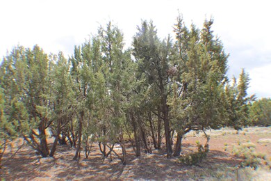 Parcel B Bourdon Ranch Rd, Show Low, AZ 85901 - photo 3