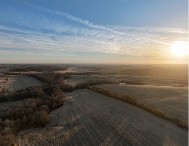 0 290 St, College Springs, IA 51637 - photo 3