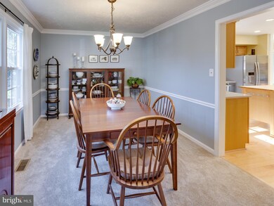 9919 Rand Dr, Burke, VA 22015 - photo 5