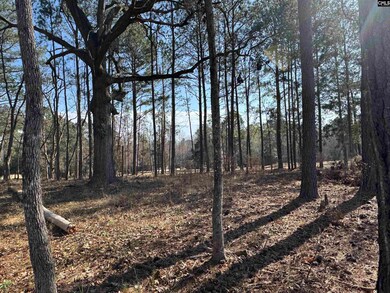 0 Misty Banks Dr unit 605235, Chapin, SC 29036 - photo 4