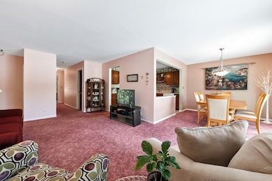 2169 Sunderland Ct unit 201B, Naperville, IL 60565 - photo 6