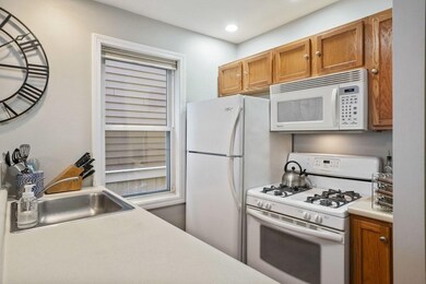 346 E St unit 1, Boston, MA 02127 - photo 6