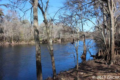 10729 NE 28th Ave, Branford, FL 32008 - photo 4