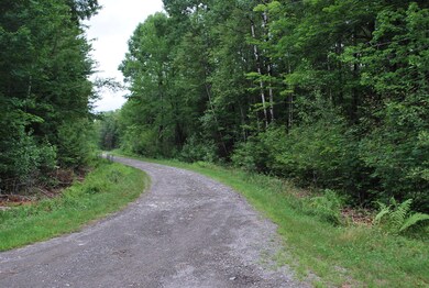 Lot 18 Moose Run Rd, Wellington, ME 04942 - photo 5