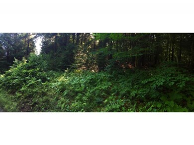 2 Starbuck Rd, Pomfret, VT 05084 - photo 2