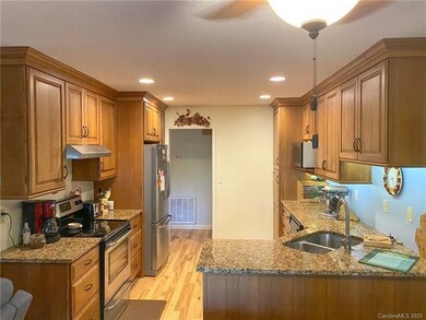 105 Roasted Chestnut Trail, Hendersonville, NC 28792 - photo 3