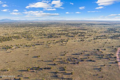 4532 E Indian Meadows Rd, Williams, AZ 86046 - photo 7