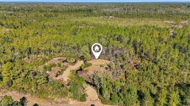 0 NE 212th St unit MFRG5104432, Fort McCoy, FL 32134 - photo 3